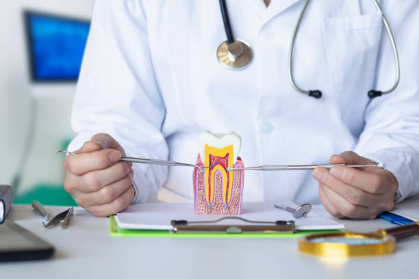 Best Same-Day Emergency Dental Services in Leslie, MI